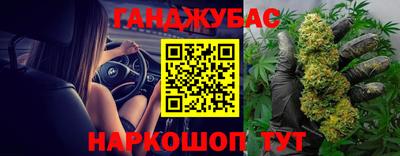 дмт Аргун
