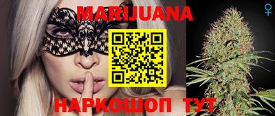 дмт Аргун
