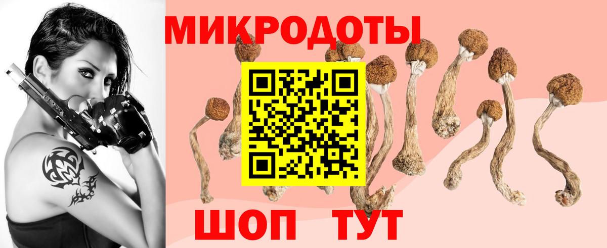 Псилоцибиновые грибы Magic Shrooms  Вход с VPN  Бугульма 